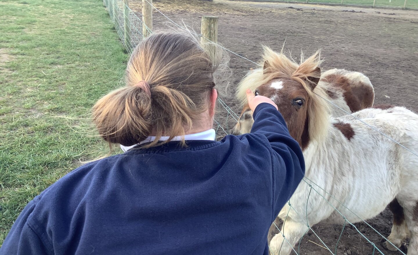 Image of Miss Scott's Class Visit to Applecast Farm