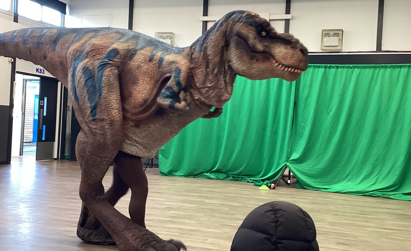 Image of KS3C and KS3W dino meet