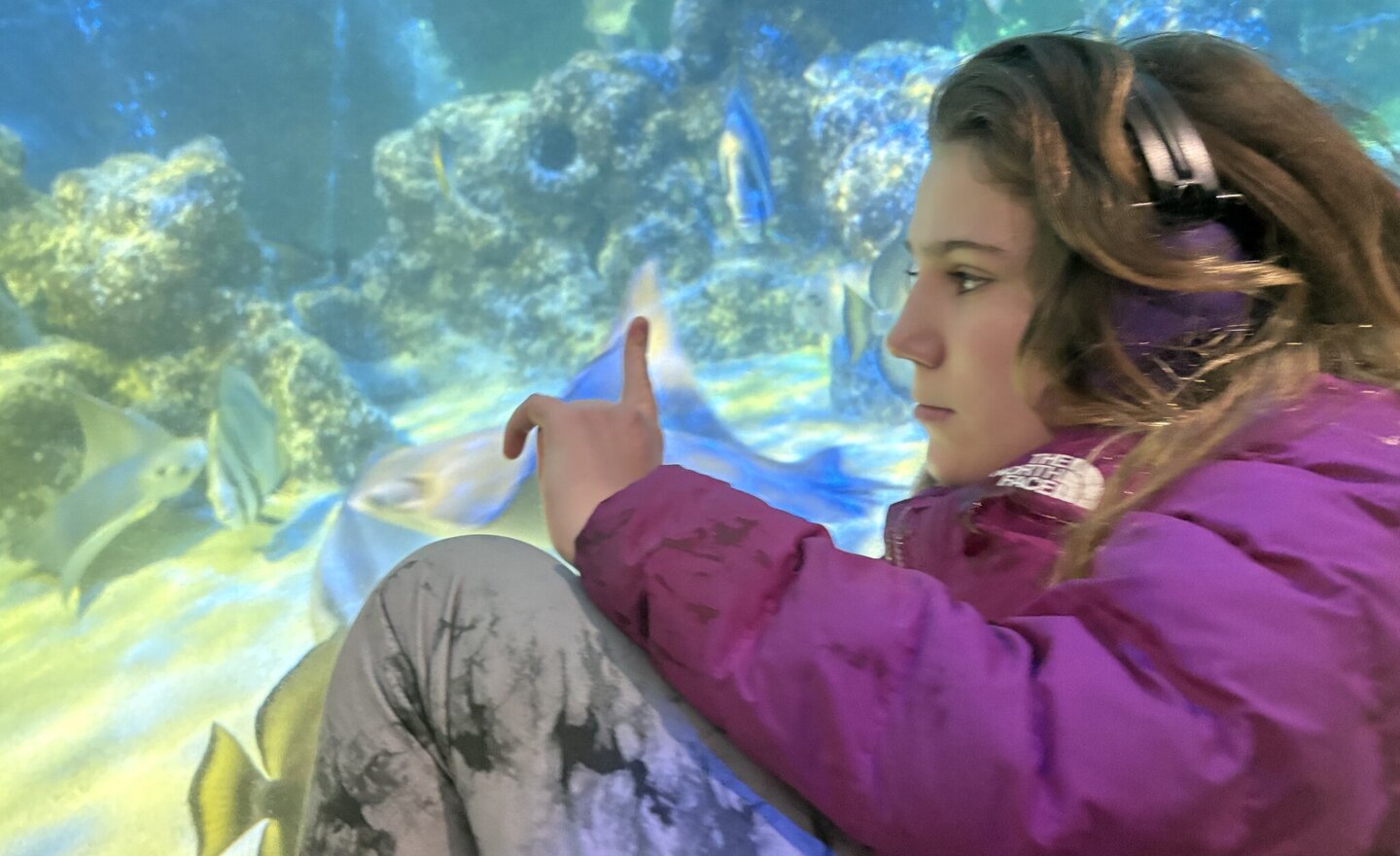 Image of KS3S and KS3H visit to Sea Life!