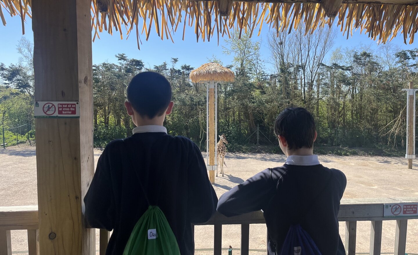 Image of KS3 Blackpool Zoo Trip