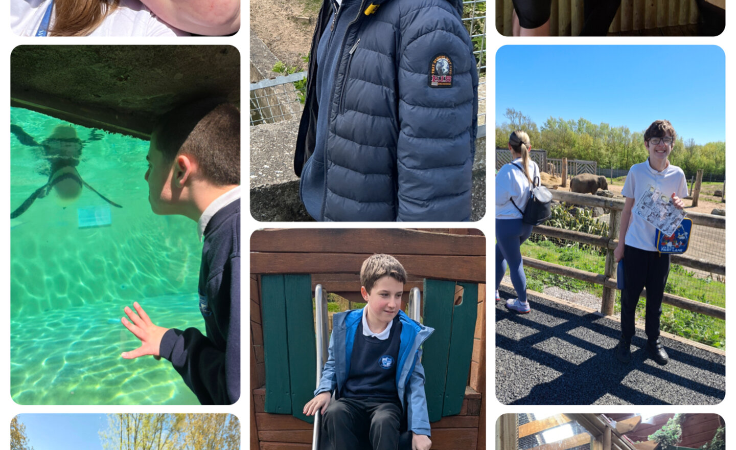 Image of KS3 Blackpool Zoo
