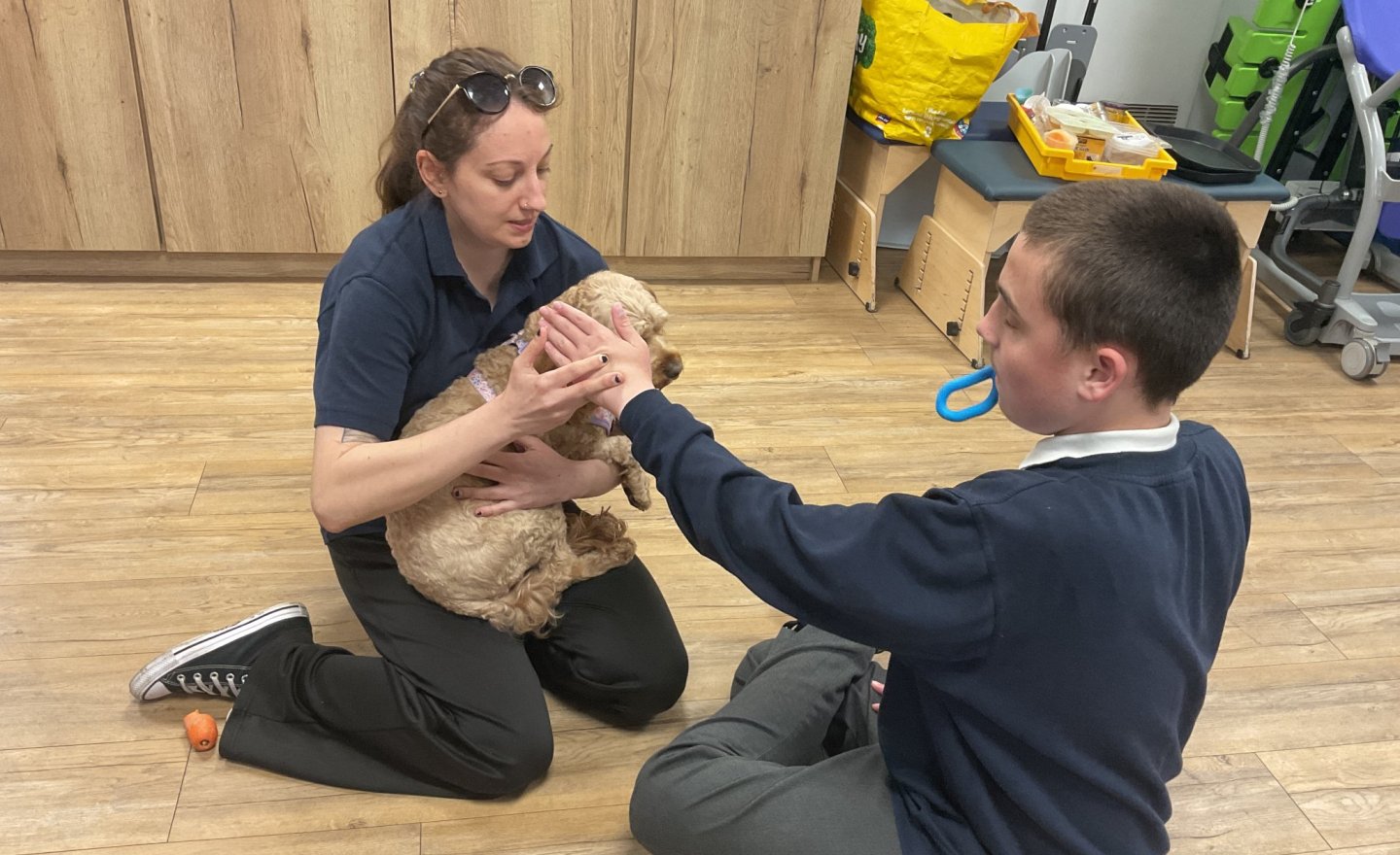 Image of Pets at Home 