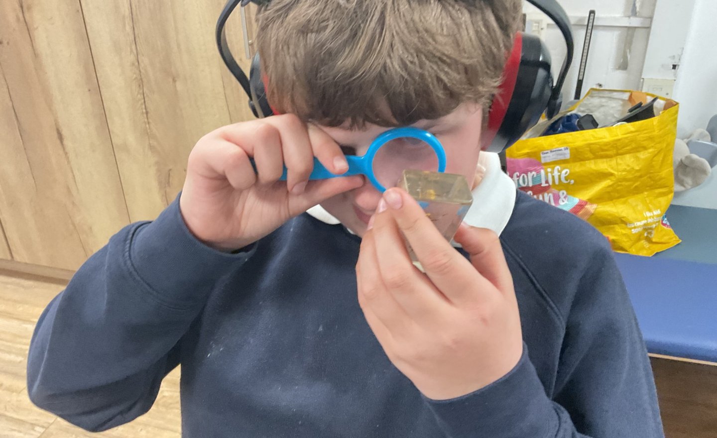 Image of Minibeasts and more in KS3S