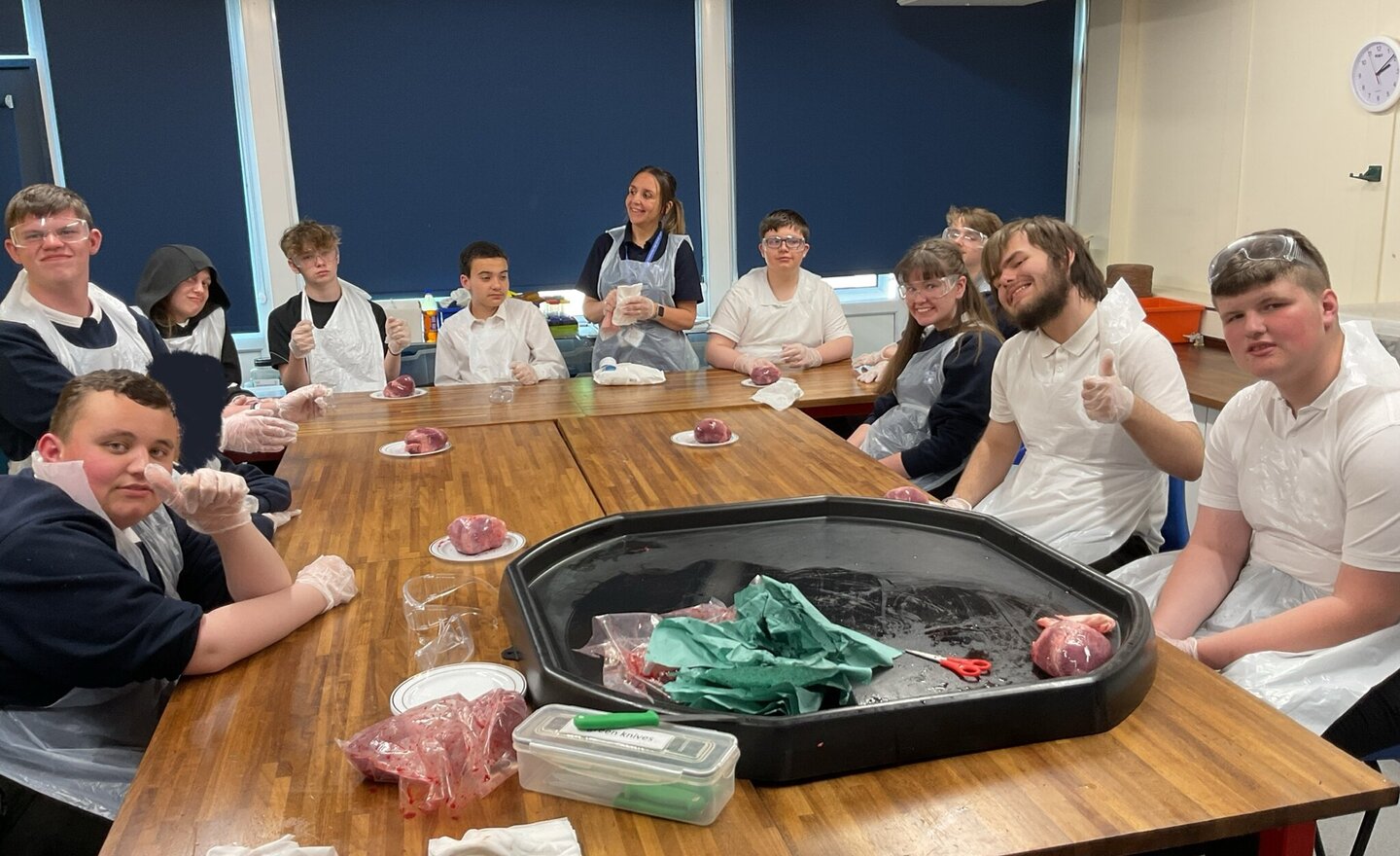 Image of KS4H- Science 