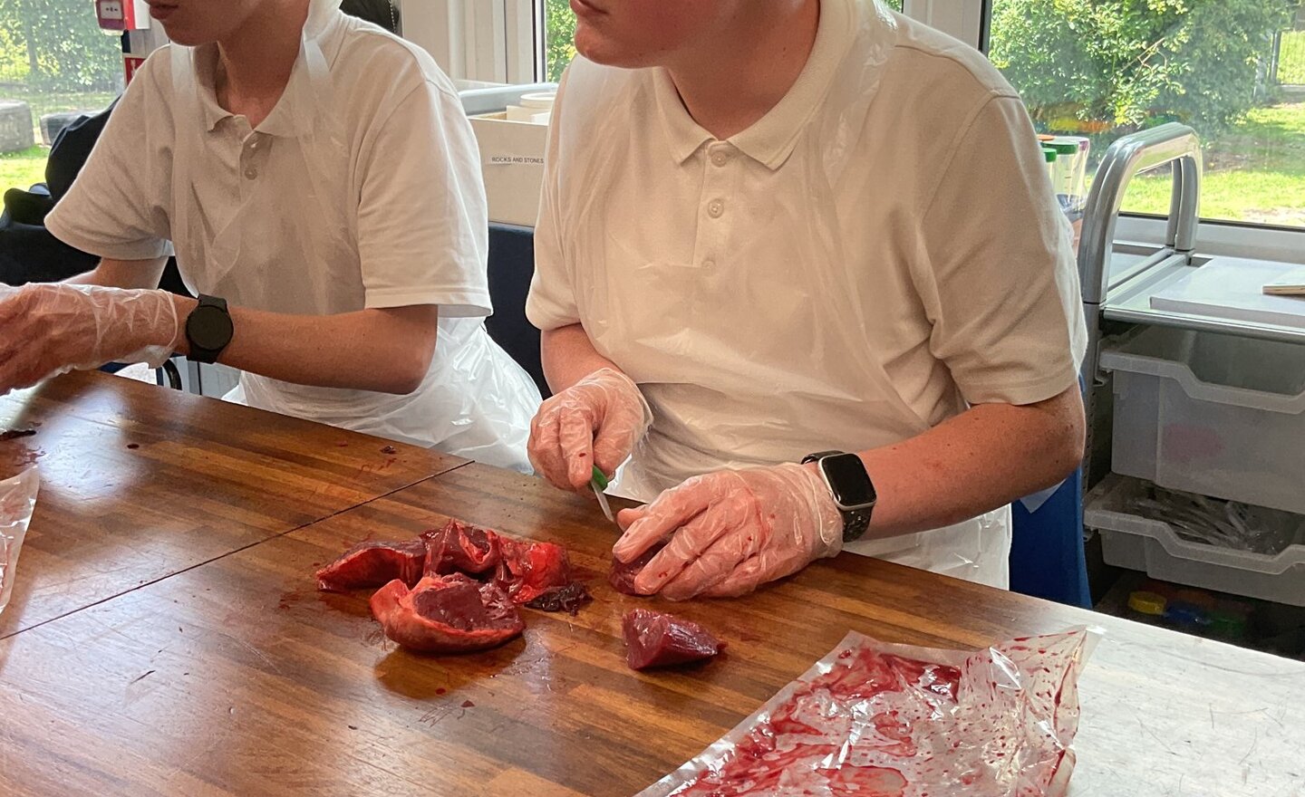 Image of KS4H Science: Dissection