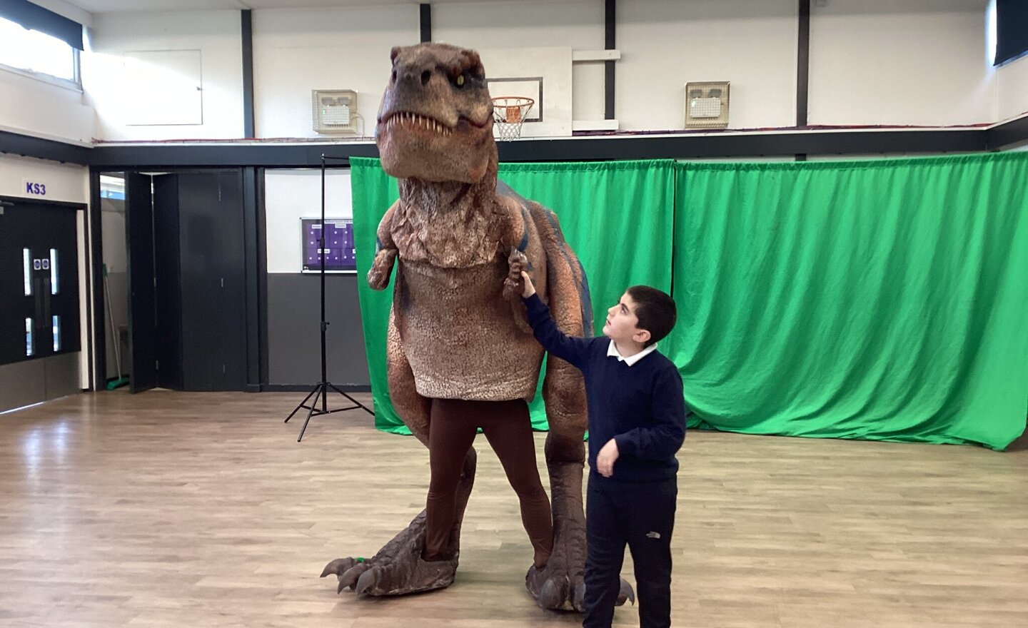 Image of Meeting a Dinosaur! 