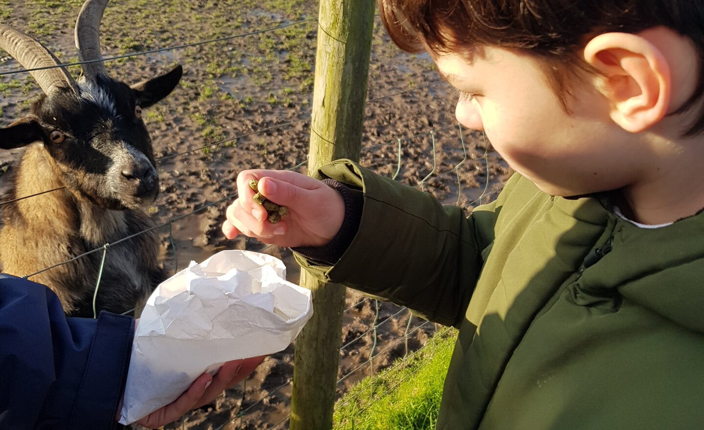 Image of Apple Cast Farm visit KS3S