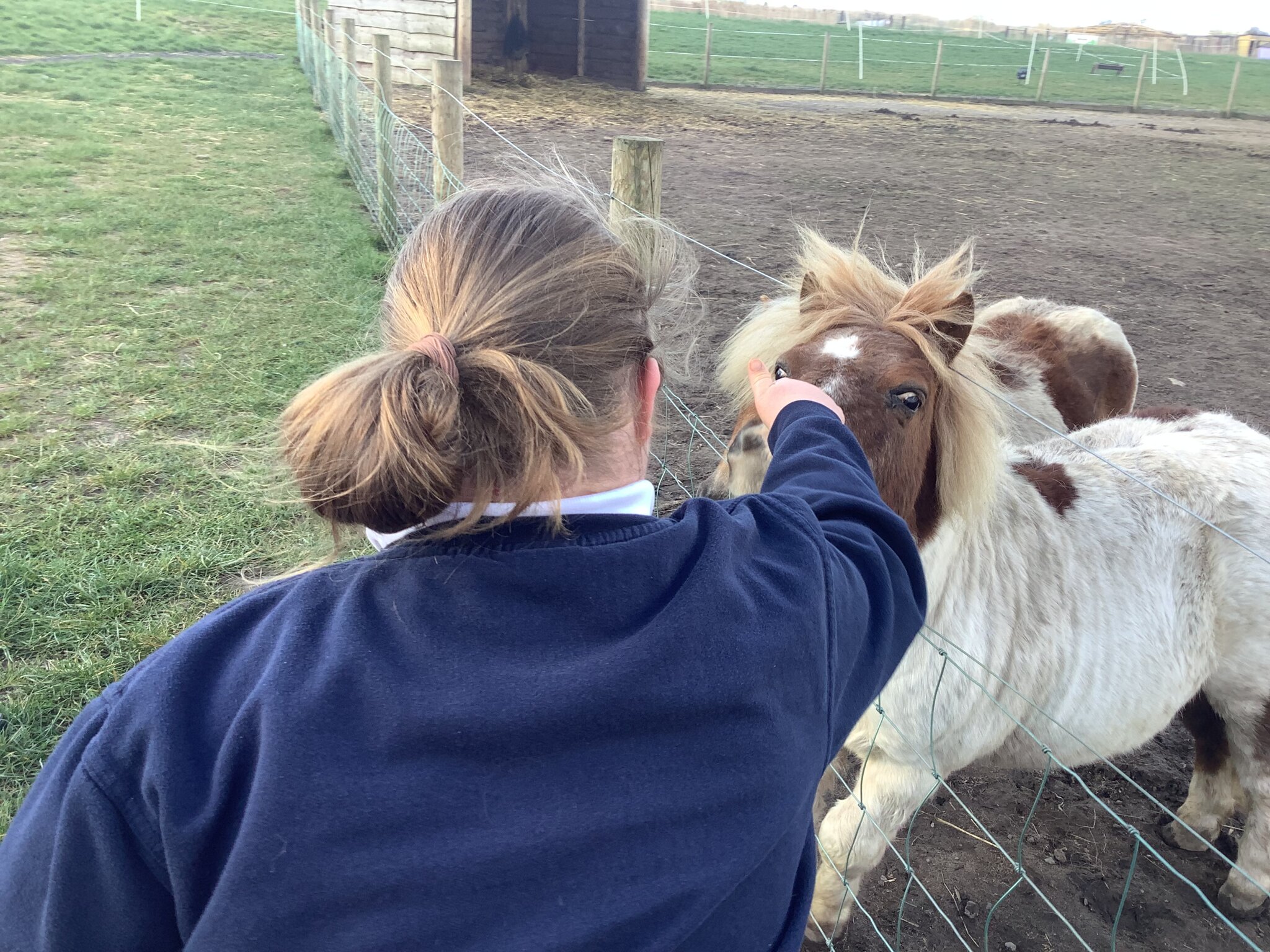 Image of Miss Scott's Class Visit to Applecast Farm