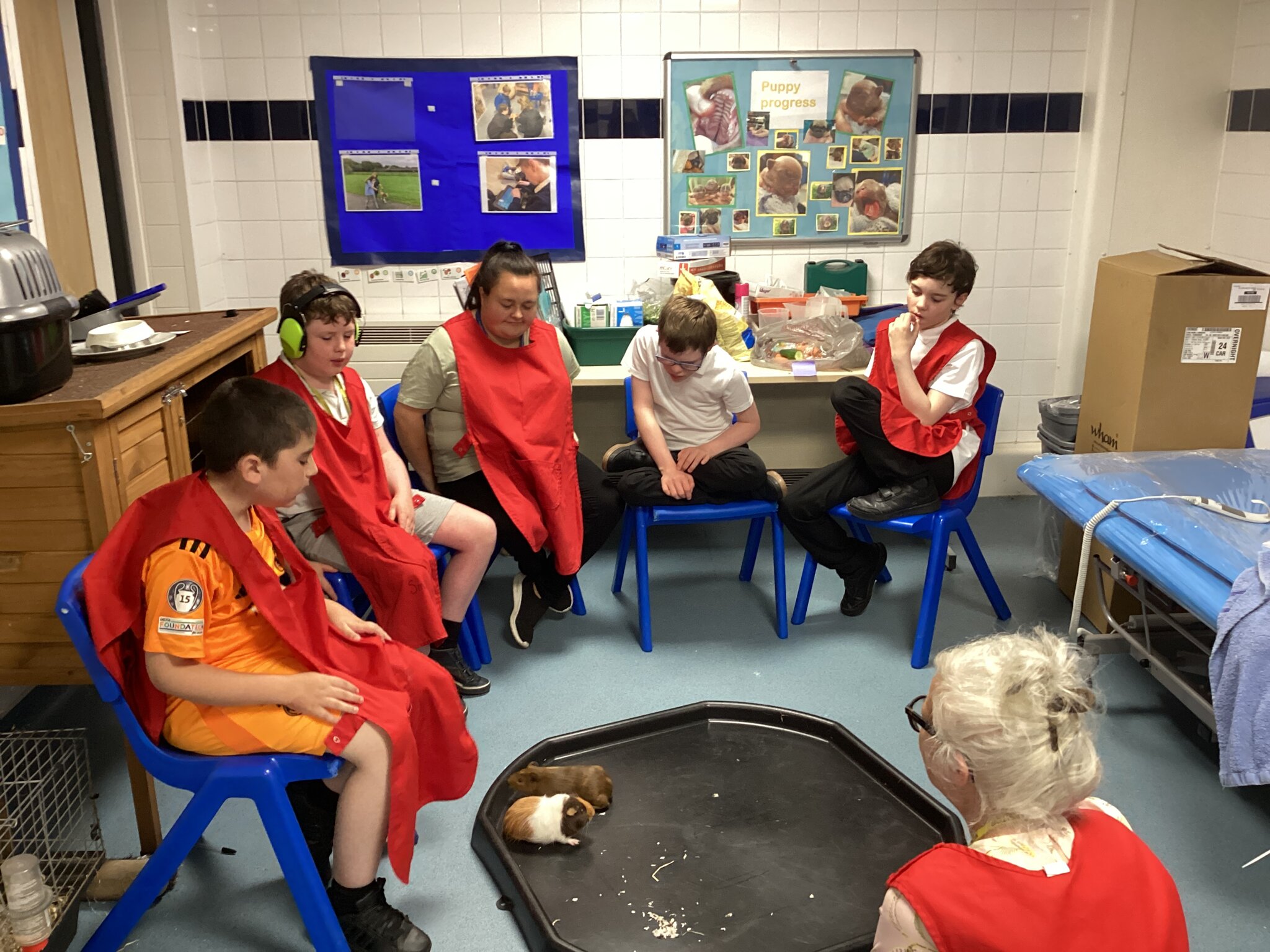 Image of This week in 3S