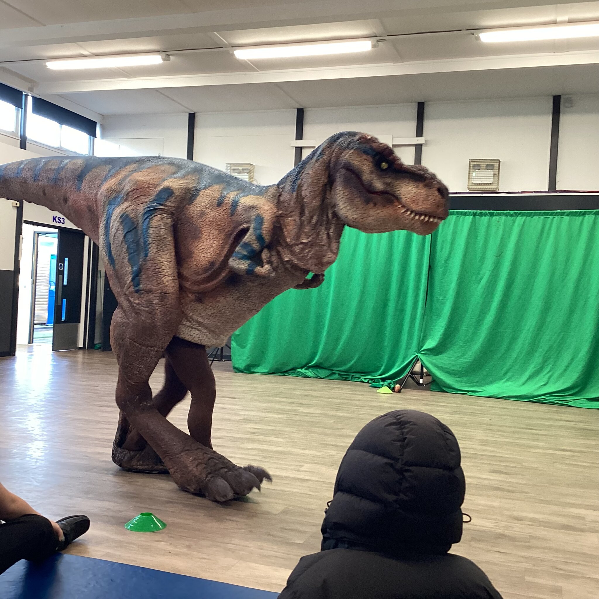 Image of KS3C and KS3W dino meet