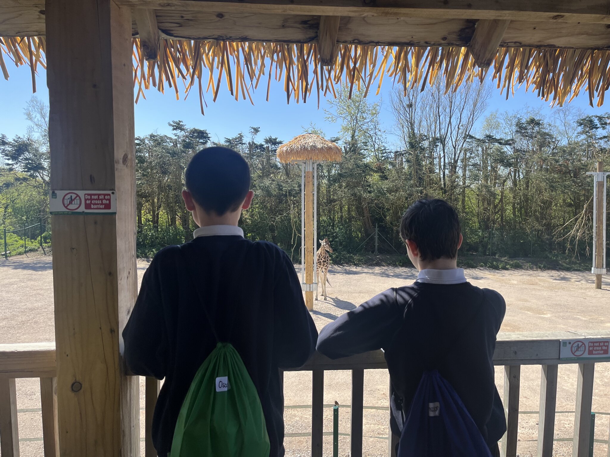 Image of KS3 Blackpool Zoo Trip