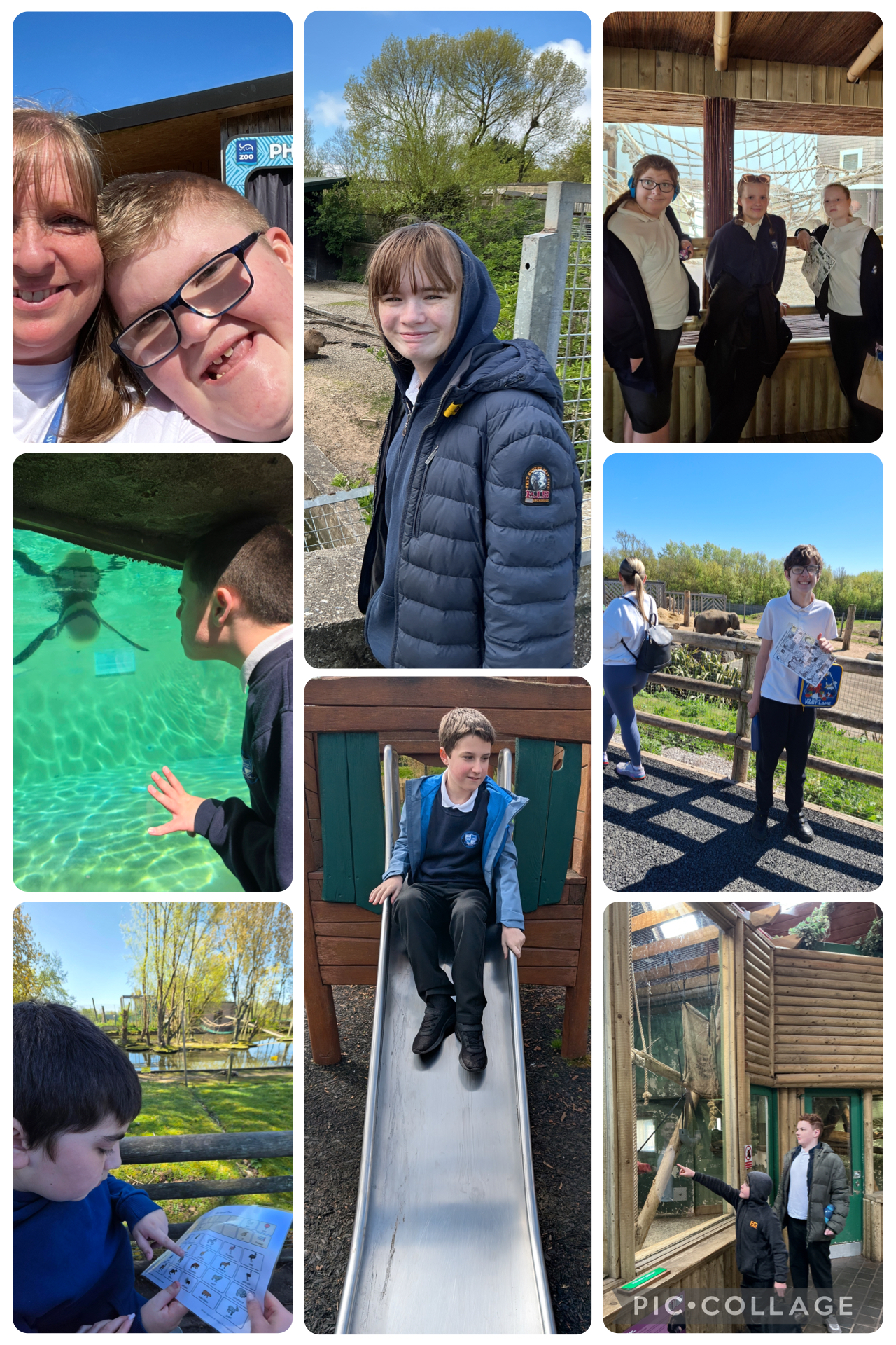 Image of KS3 Blackpool Zoo