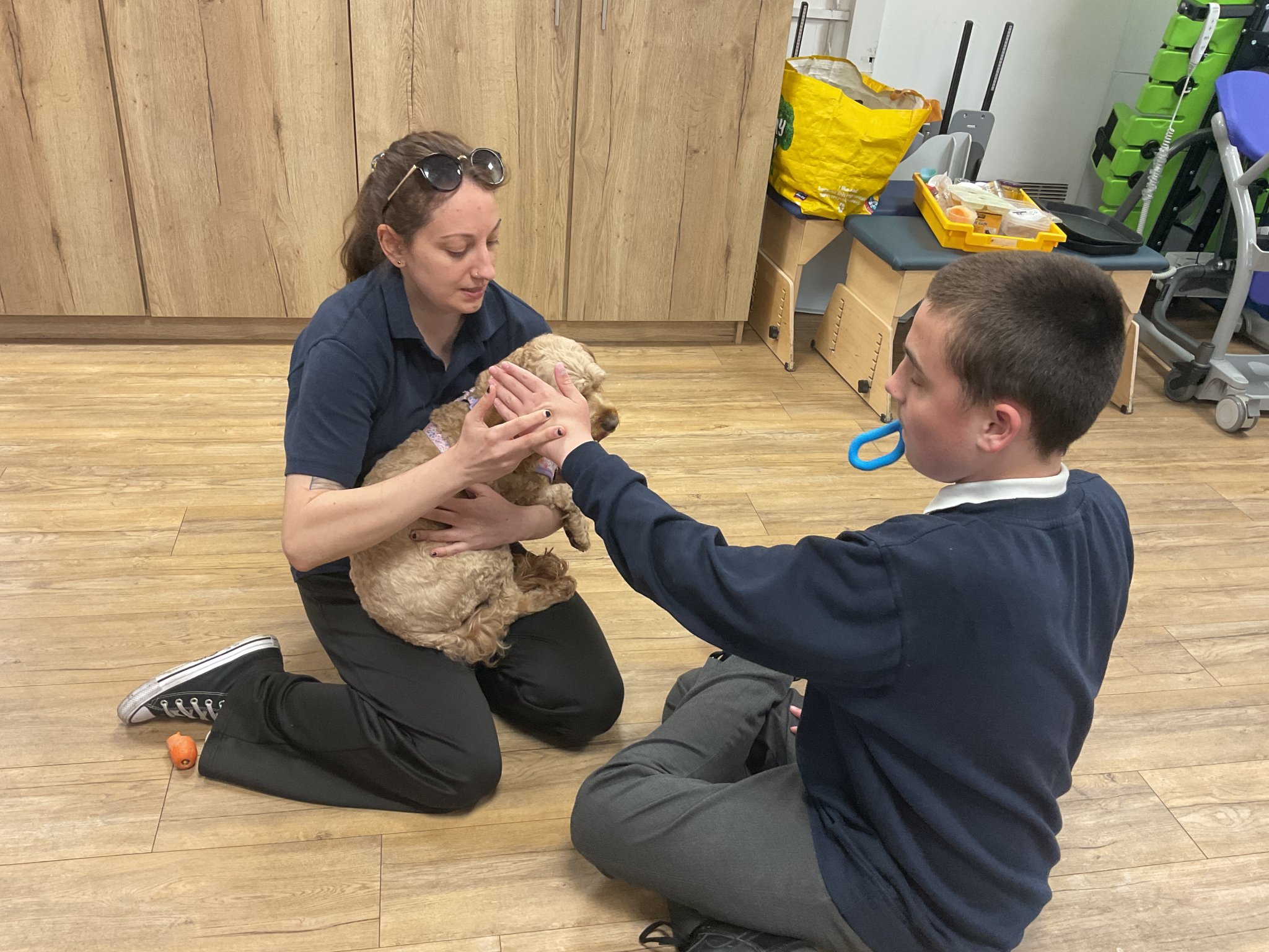Image of Pets at Home 