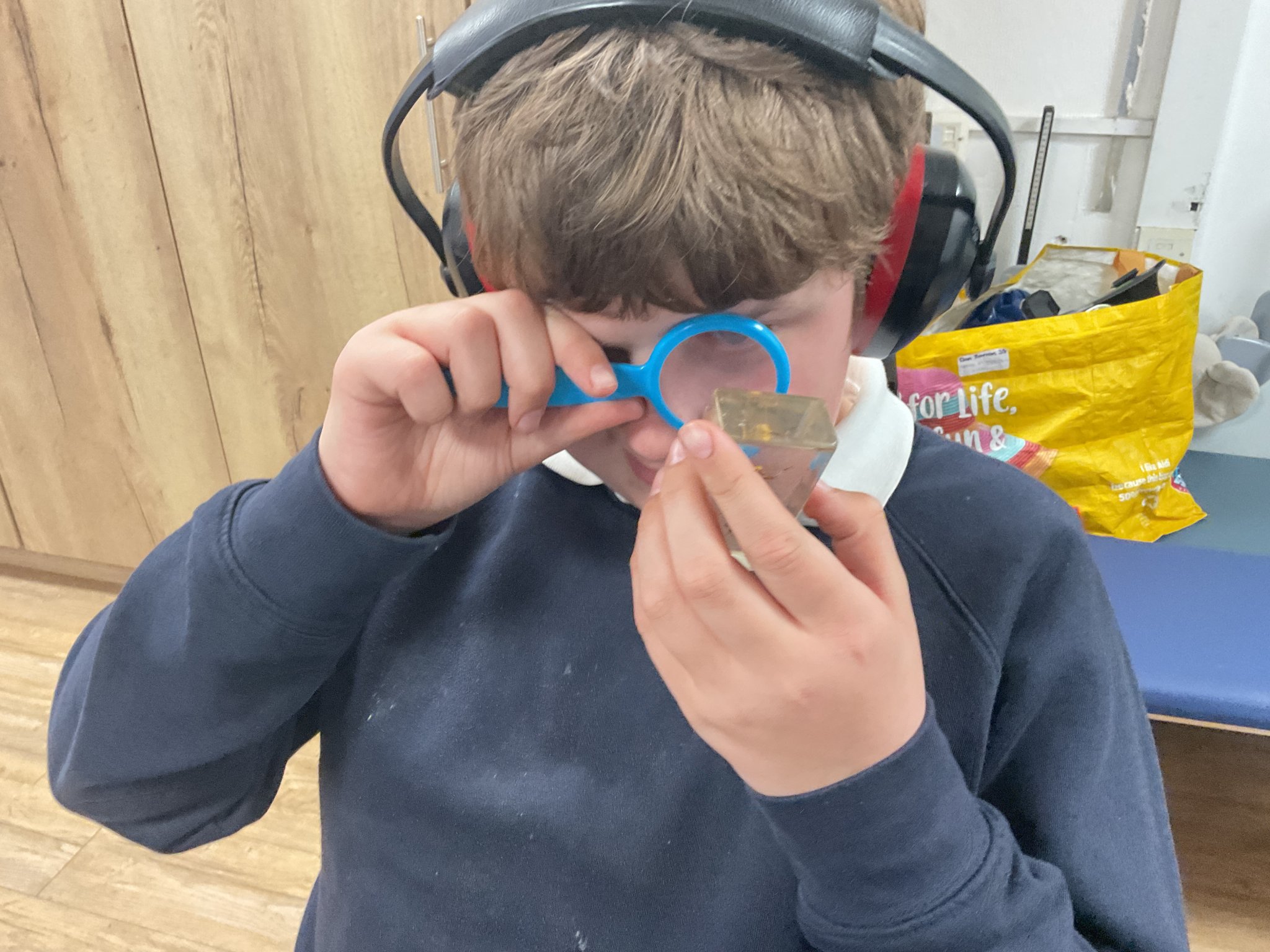 Image of Minibeasts and more in KS3S