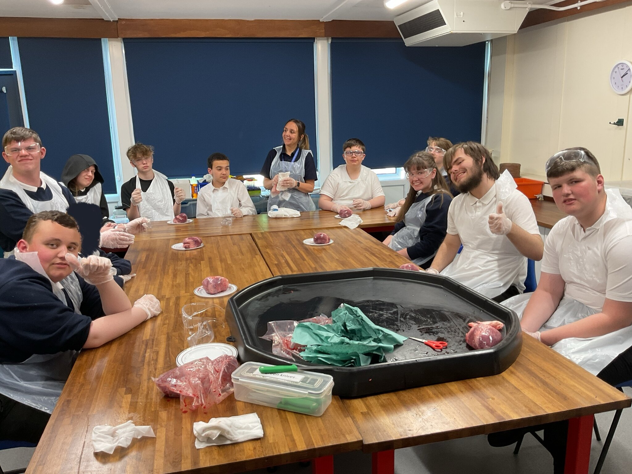 Image of KS4H- Science
