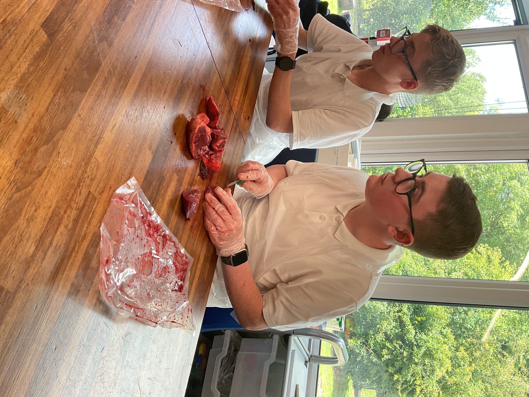 Image of KS4H Science: Dissection