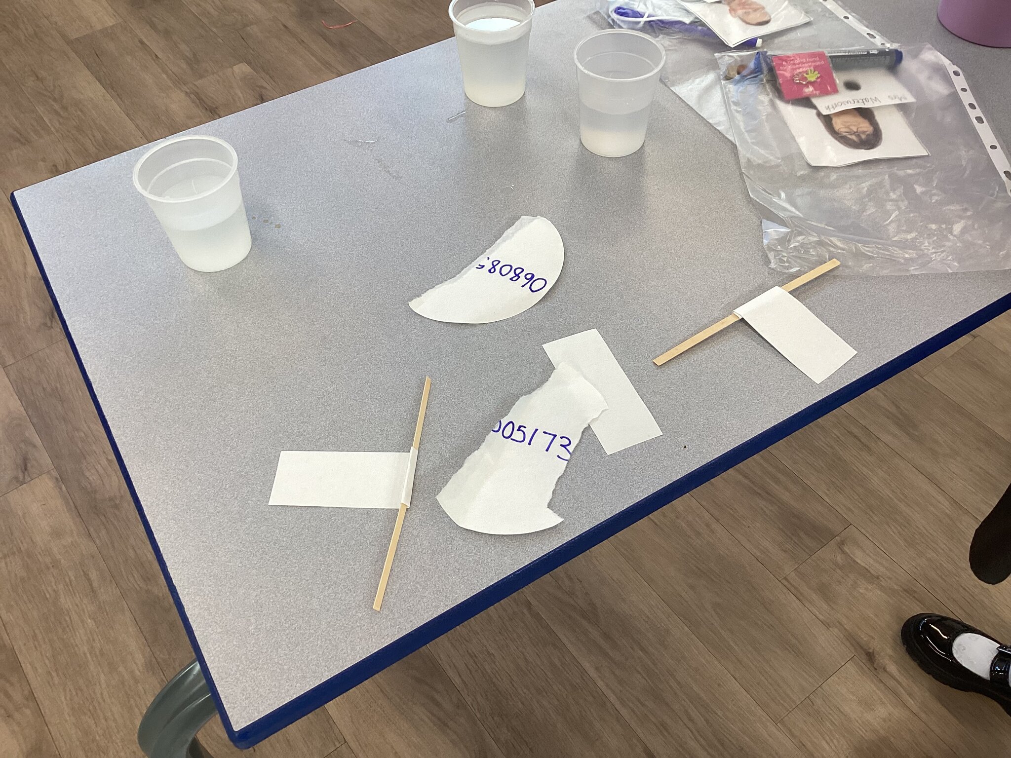 Image of CSI Wow Day KS4C