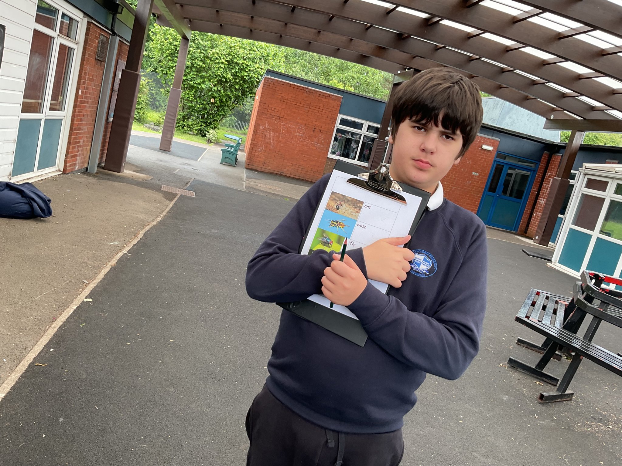 Image of KS4W Small Animals and Bug Hunting