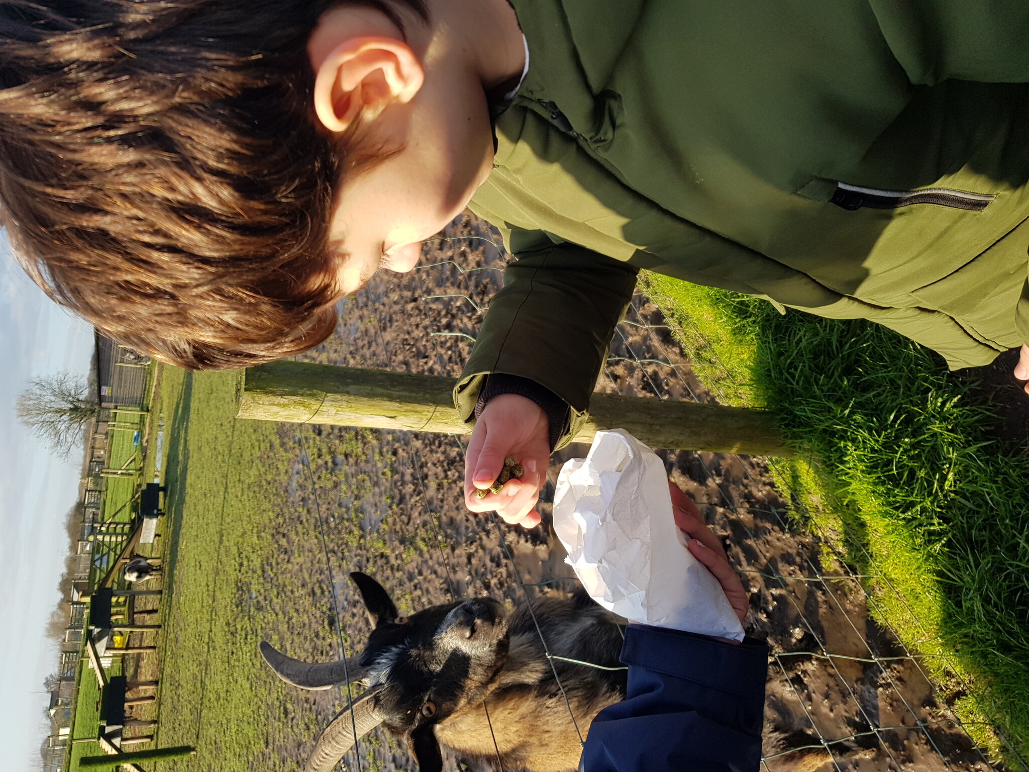 Image of Apple Cast Farm visit KS3S