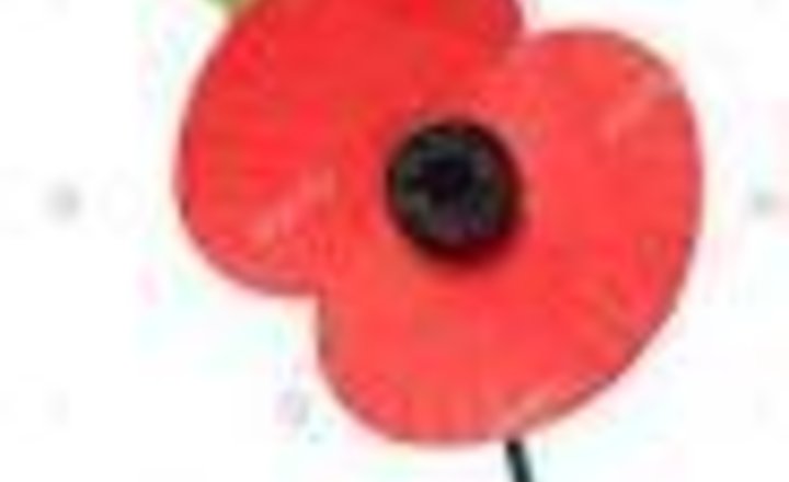 Image of Poppy Appeal