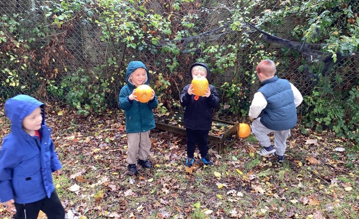 Image of Reception Pumpkin Hunt Adventure