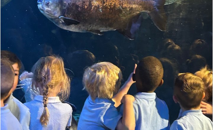 Image of Reception’s Blue Planet Trip