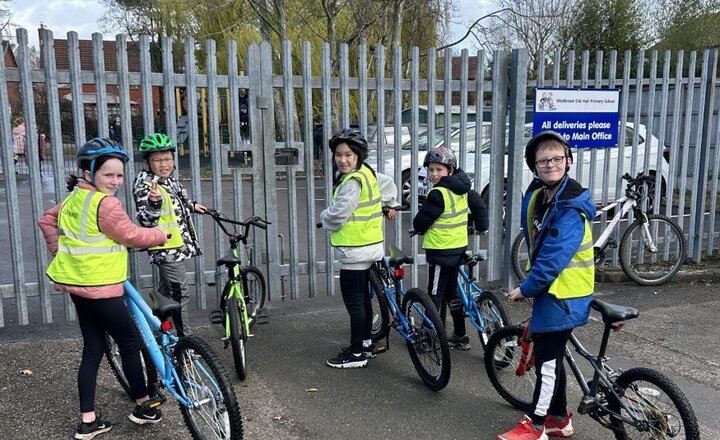 Image of Year 5 - Bikeability