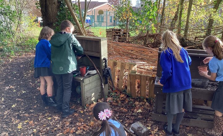 Image of Forest School: Y2 and Y4