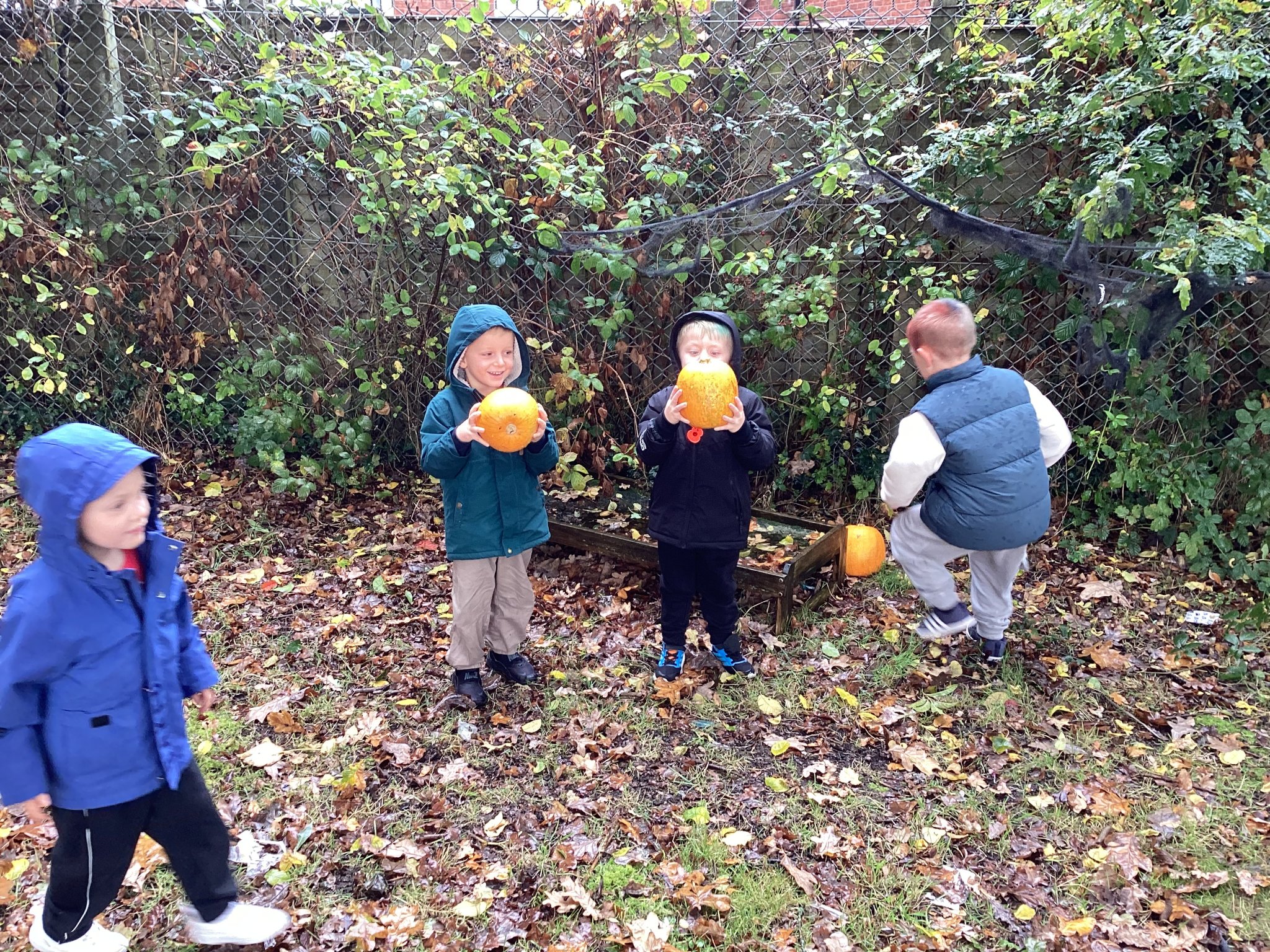 Image of Reception Pumpkin Hunt Adventure