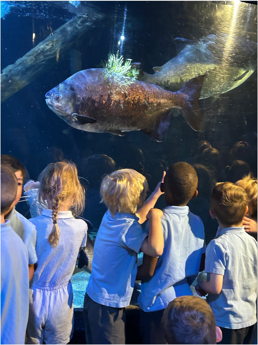 Image of Reception’s Blue Planet Trip