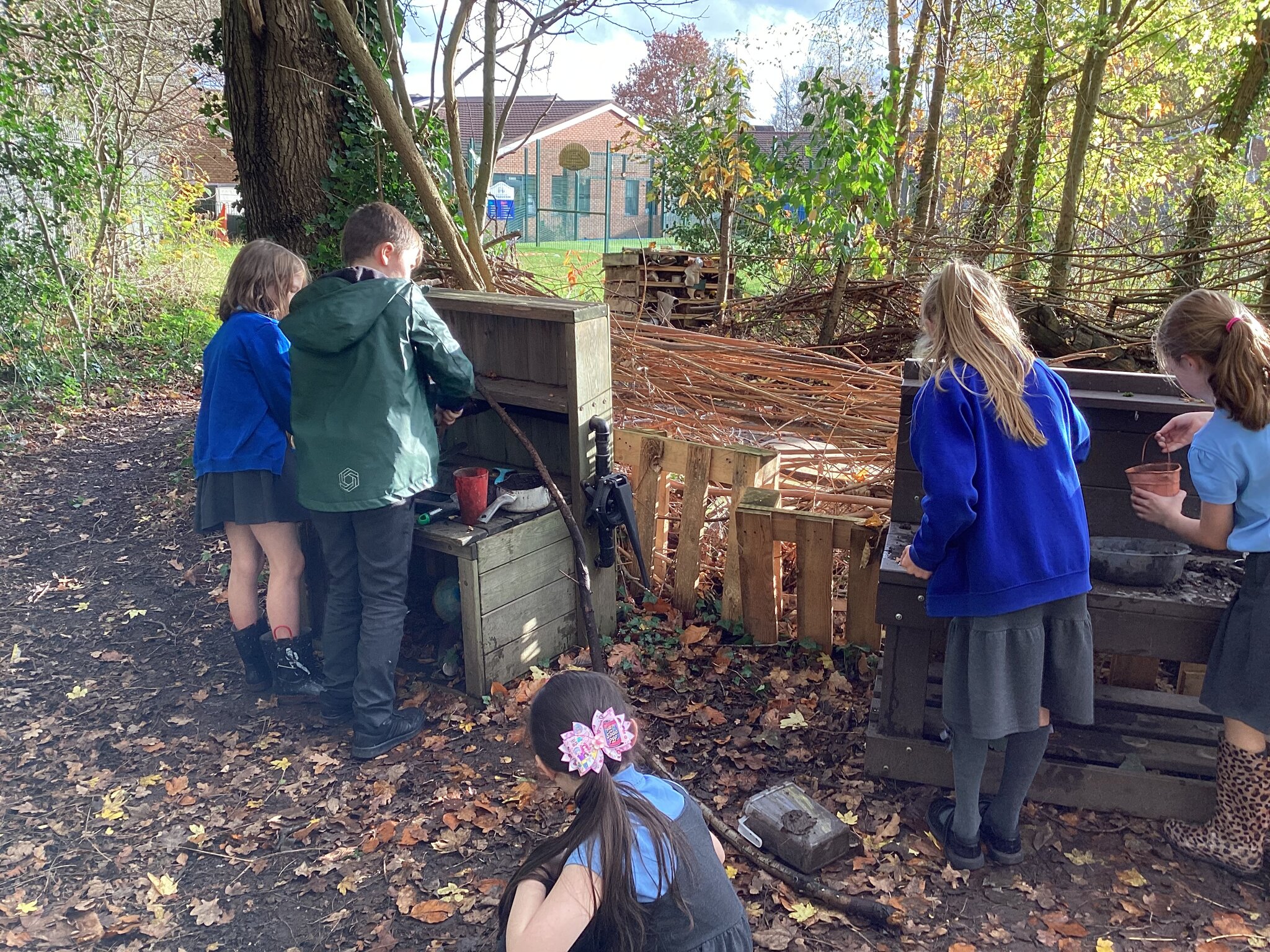 Image of Forest School: Y2 and Y4
