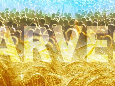 Image of Harvest Assembly 27.9.21