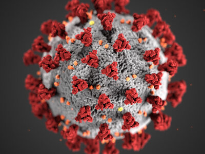 Image of Coronavirus Letter Home Learning 19.3.20