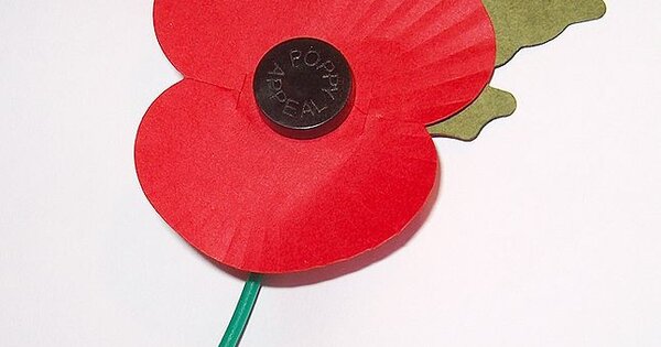 remembrance poppy sale