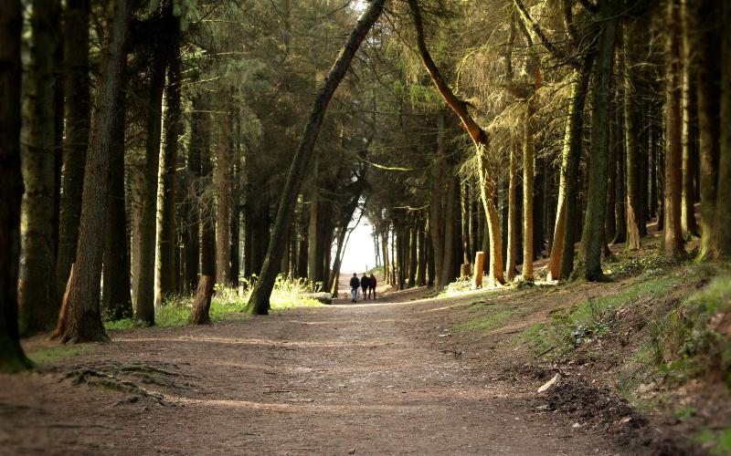 Image of Year 5 Proposed Visit to Beacon Fell Adventures, Longridge