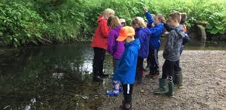 Image of Year 4 Proposed Visit to Cuerden Valley Park