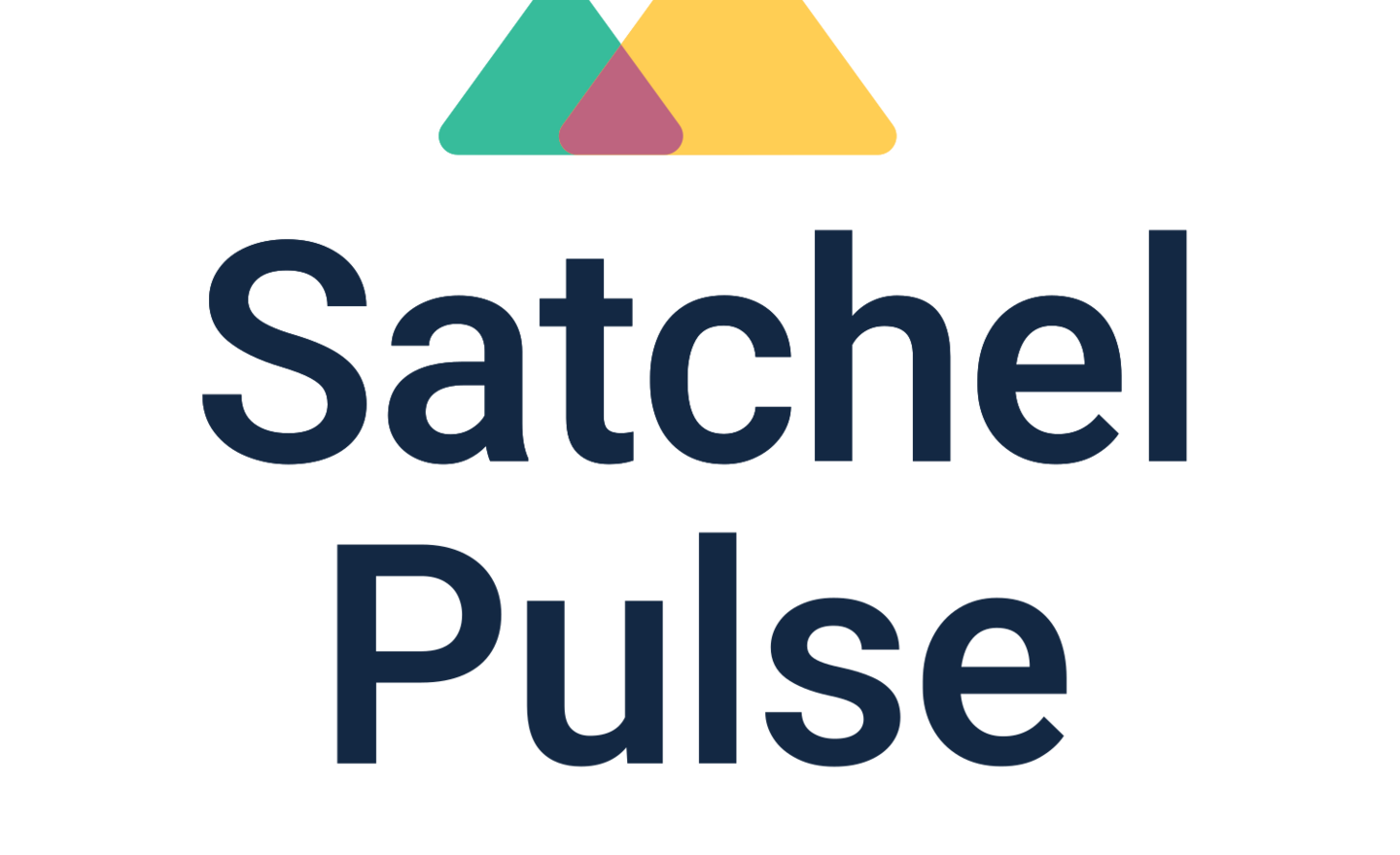 Image of Satchel Pulse