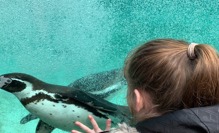 Image of LKS2 trip to London Zoo