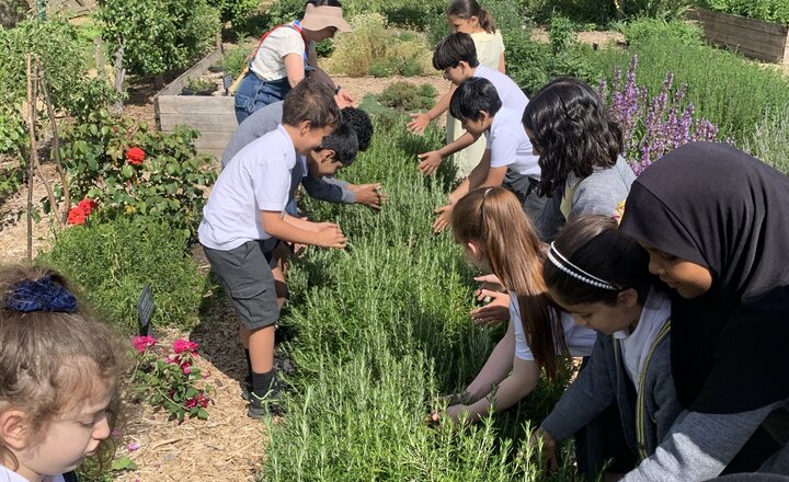 Image of Seed to Spoon - Monet class learning about plants at Chiswick House and Gardens