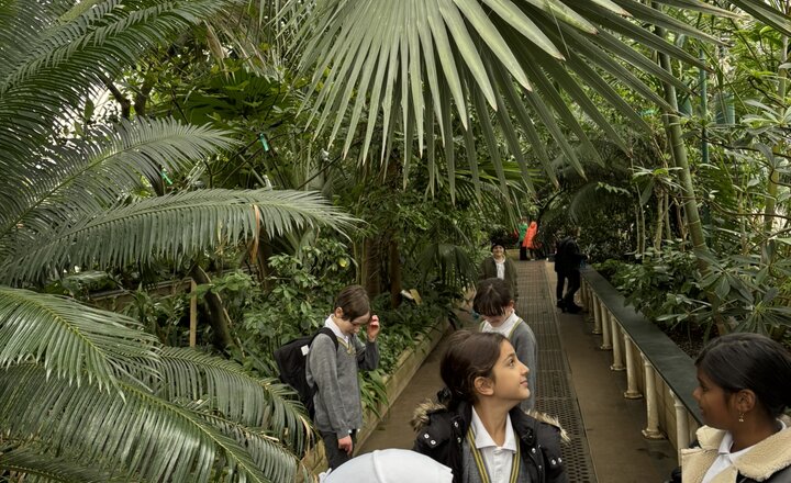 Image of Year 5 go to Kew Gardens