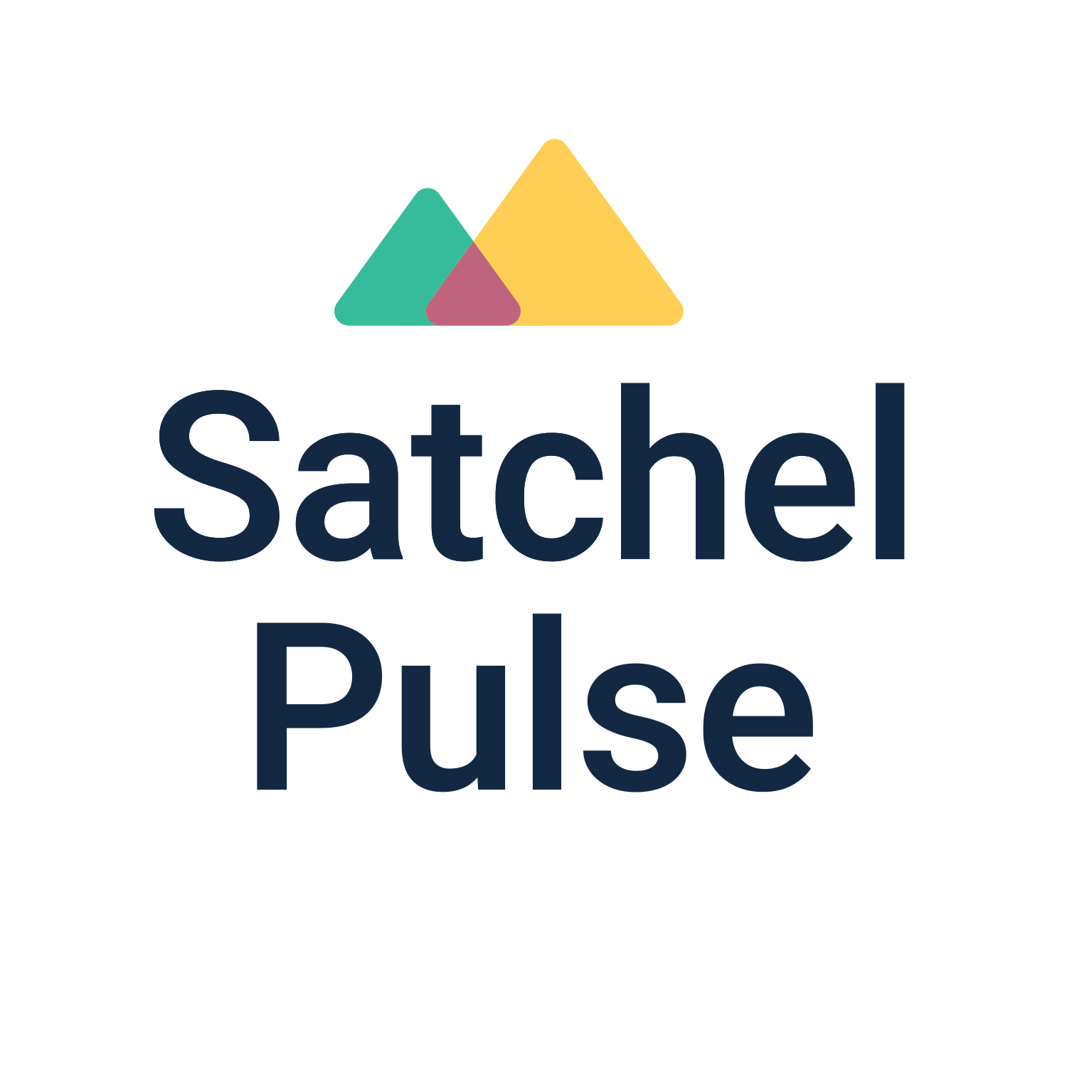 Image of Satchel Pulse