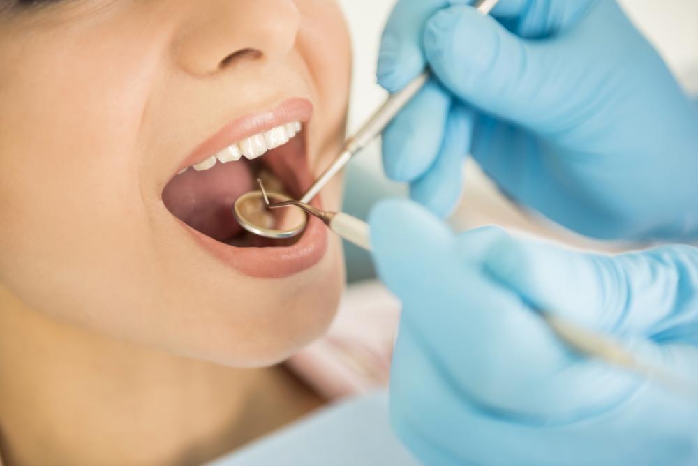 Image of Get into Dentistry