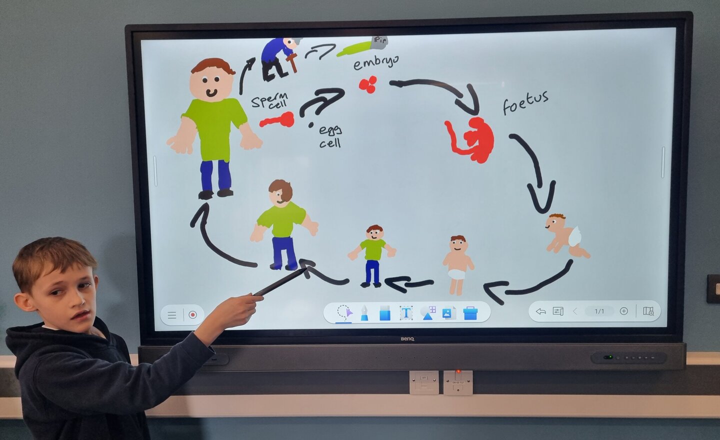 Image of KS2 Living Things and Their Habitats