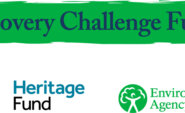 Image of Willow Bank School Receive £2,079.61 from The Mersey Forest Organisation Green Recovery Challenge Fund