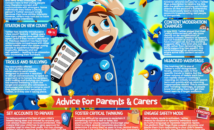 Image of Twitter Advice and Potential Hazards