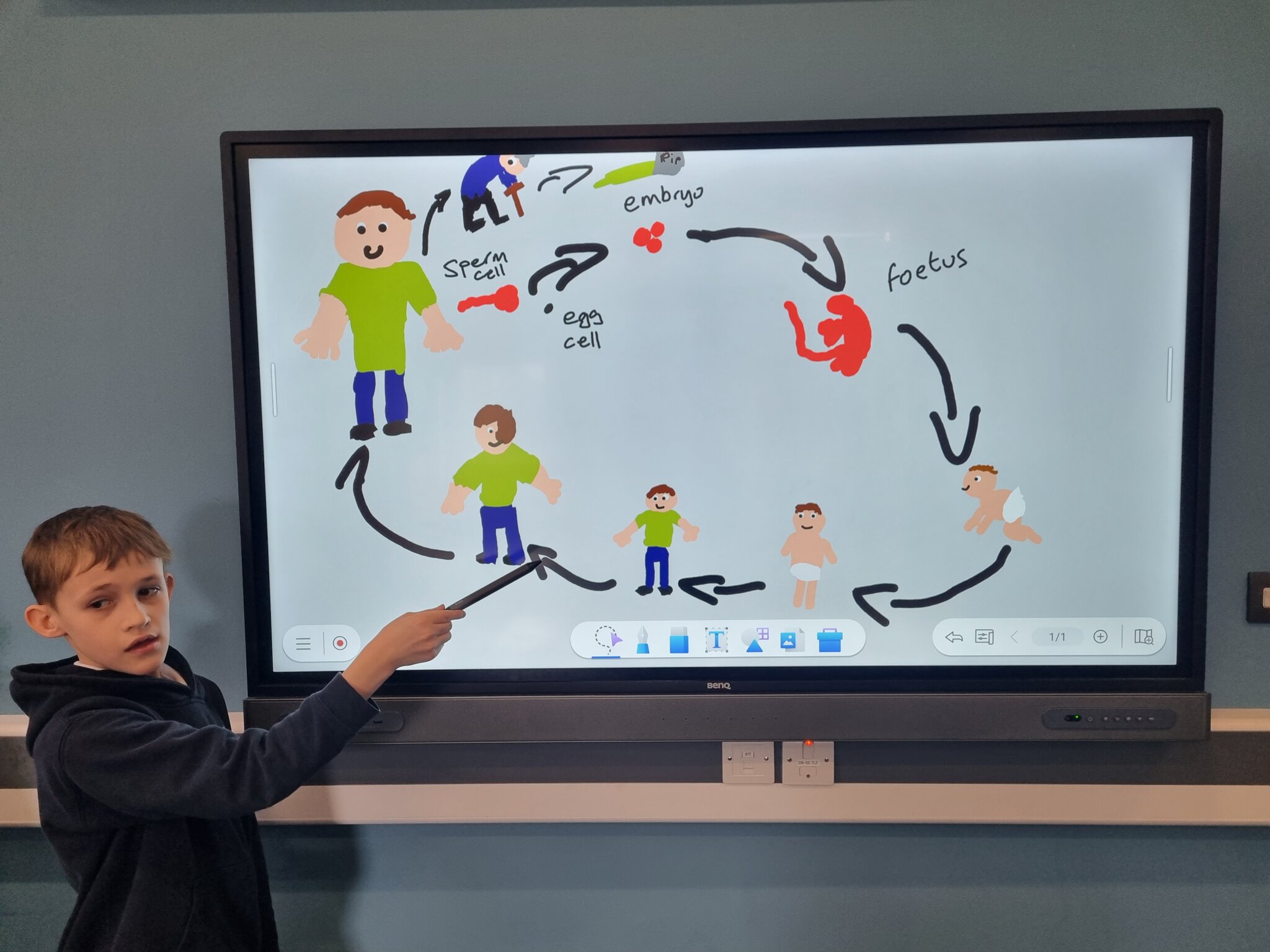 Image of KS2 Living Things and Their Habitats