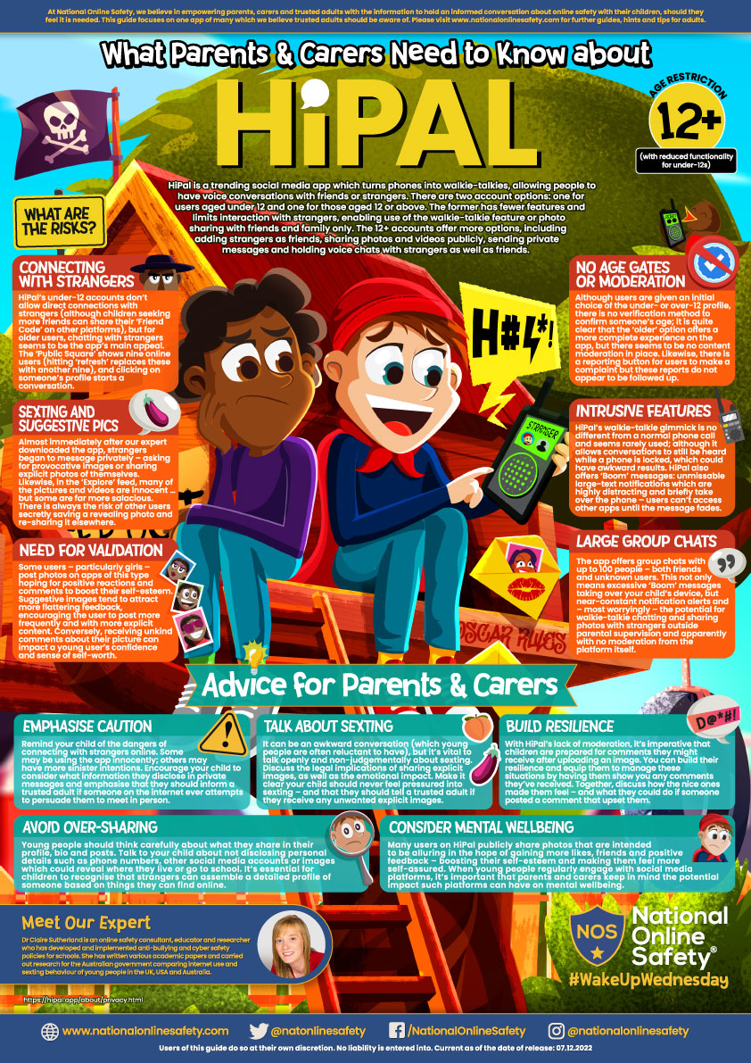 Image of HiPAL Social Media App Advice & Risks