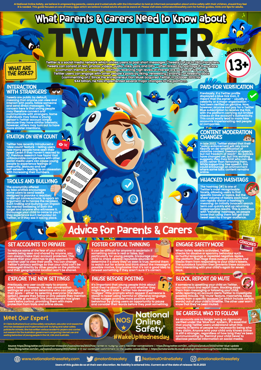 Image of Twitter Advice and Potential Hazards