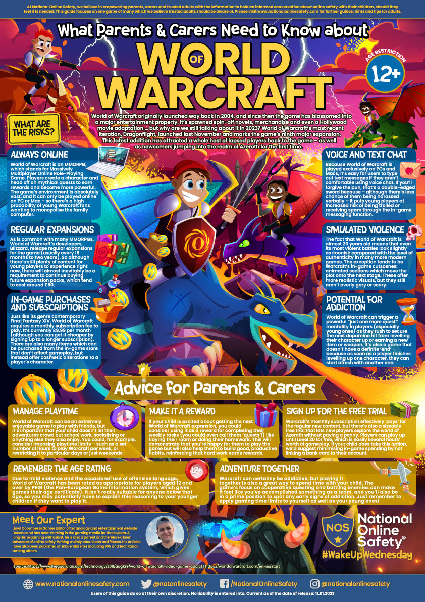 Image of World of Warcraft Game Advice & Risks