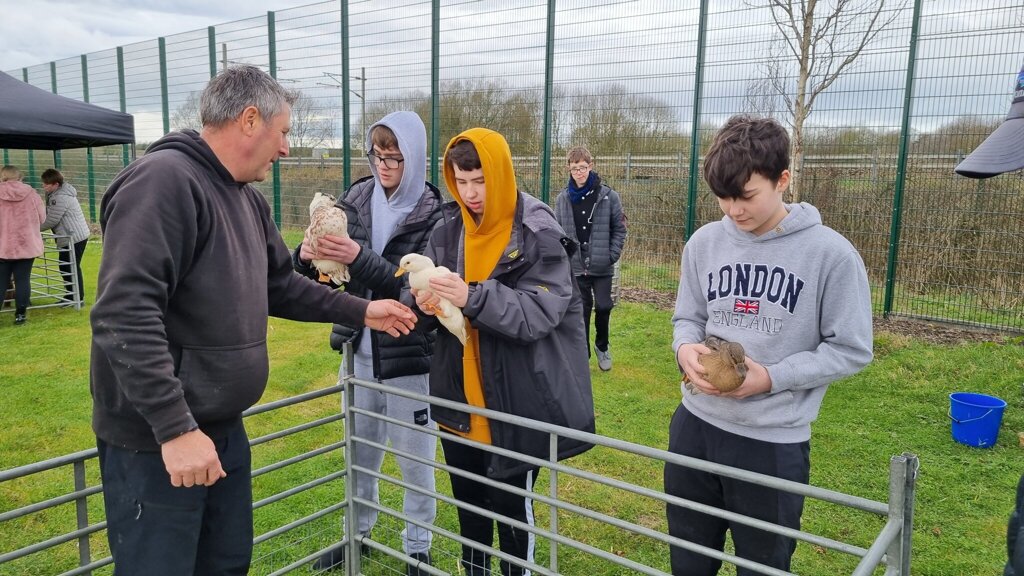 Image of Bowland Farm - Mobile Farm Visit